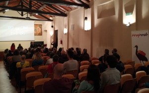 Il contatto                   